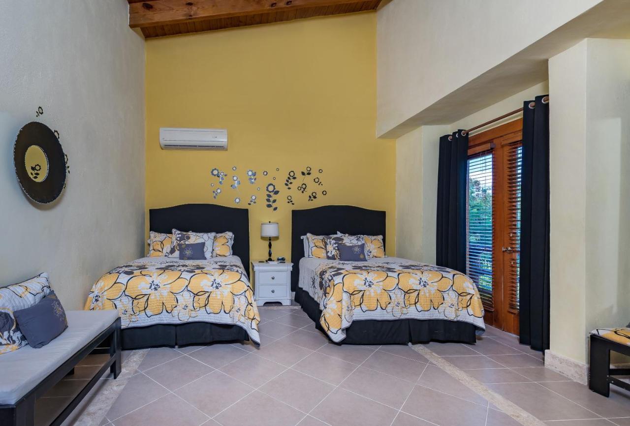 Private With Incredible Pool, Maid, Jacuzzi - Cap Cana Villa