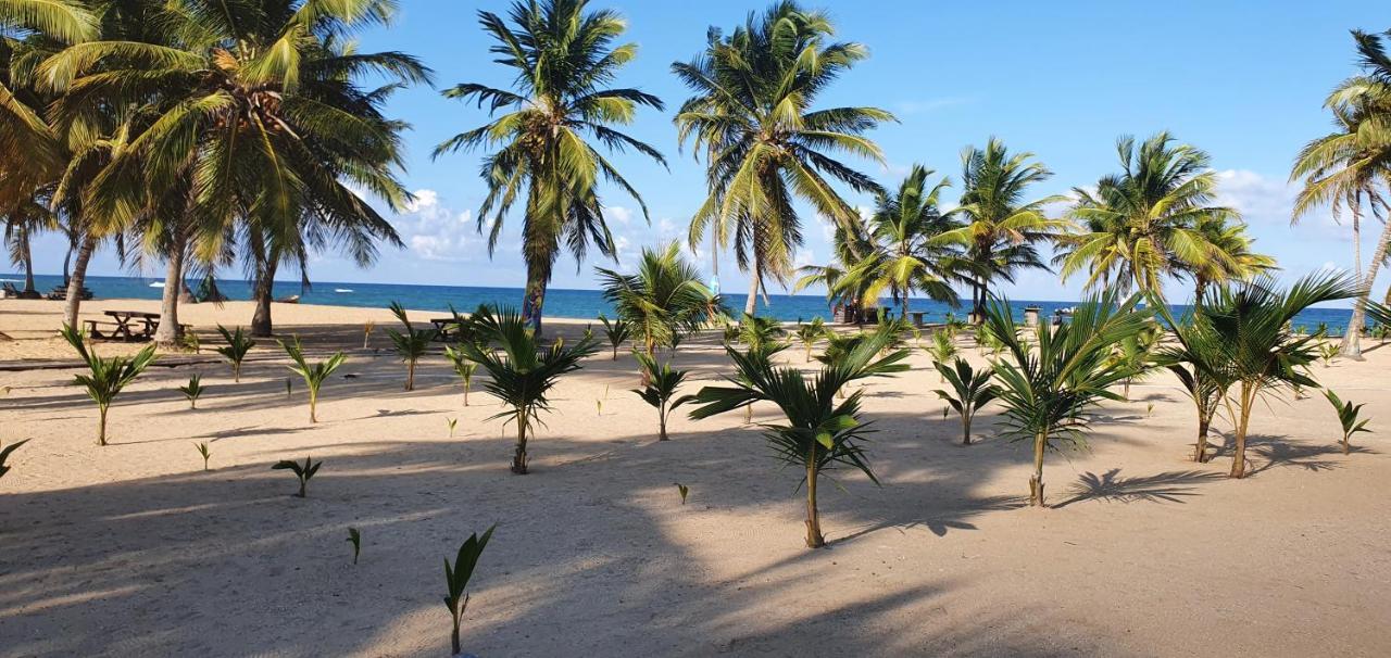 Puntacana Lavacama Costa Arrecife * Punta Cana