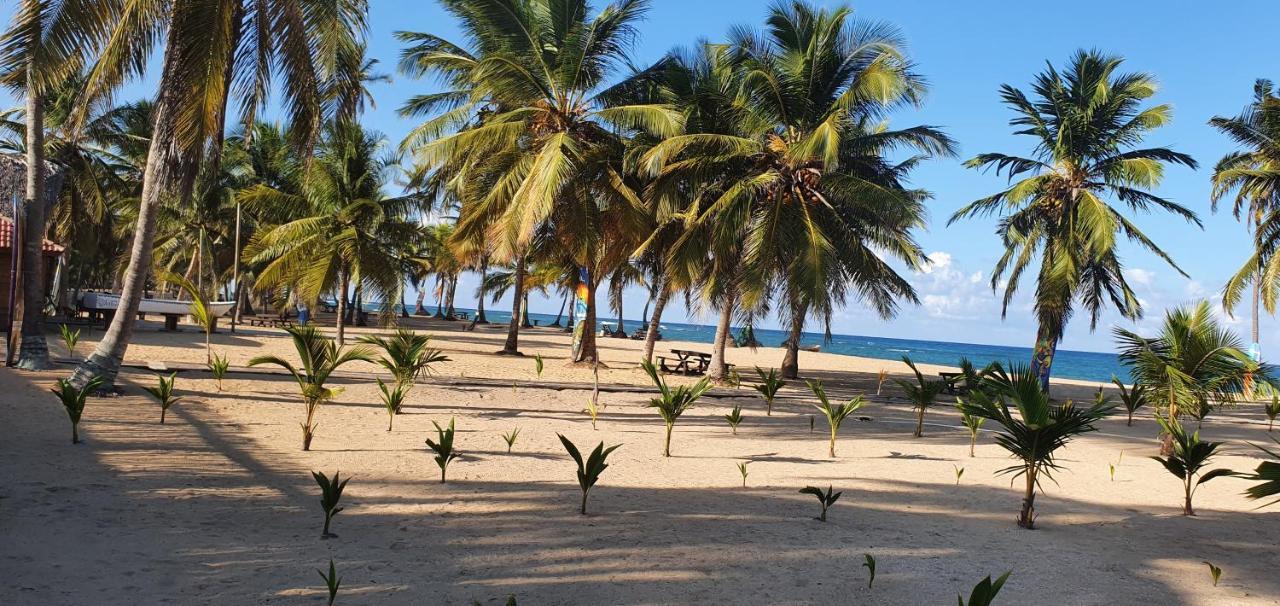 Puntacana Lavacama Costa Arrecife