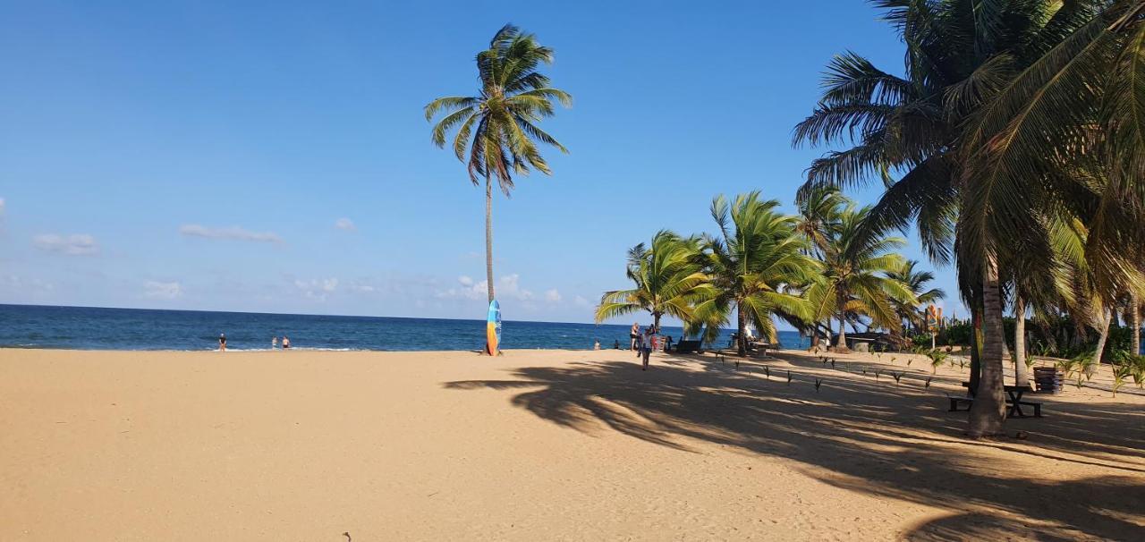 Puntacana Lavacama Costa Arrecife
