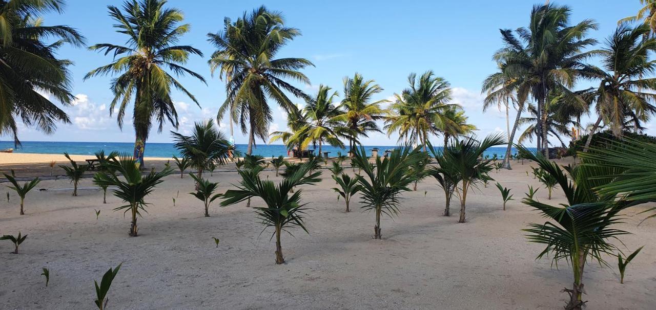 Puntacana Lavacama Costa Arrecife * Punta Cana