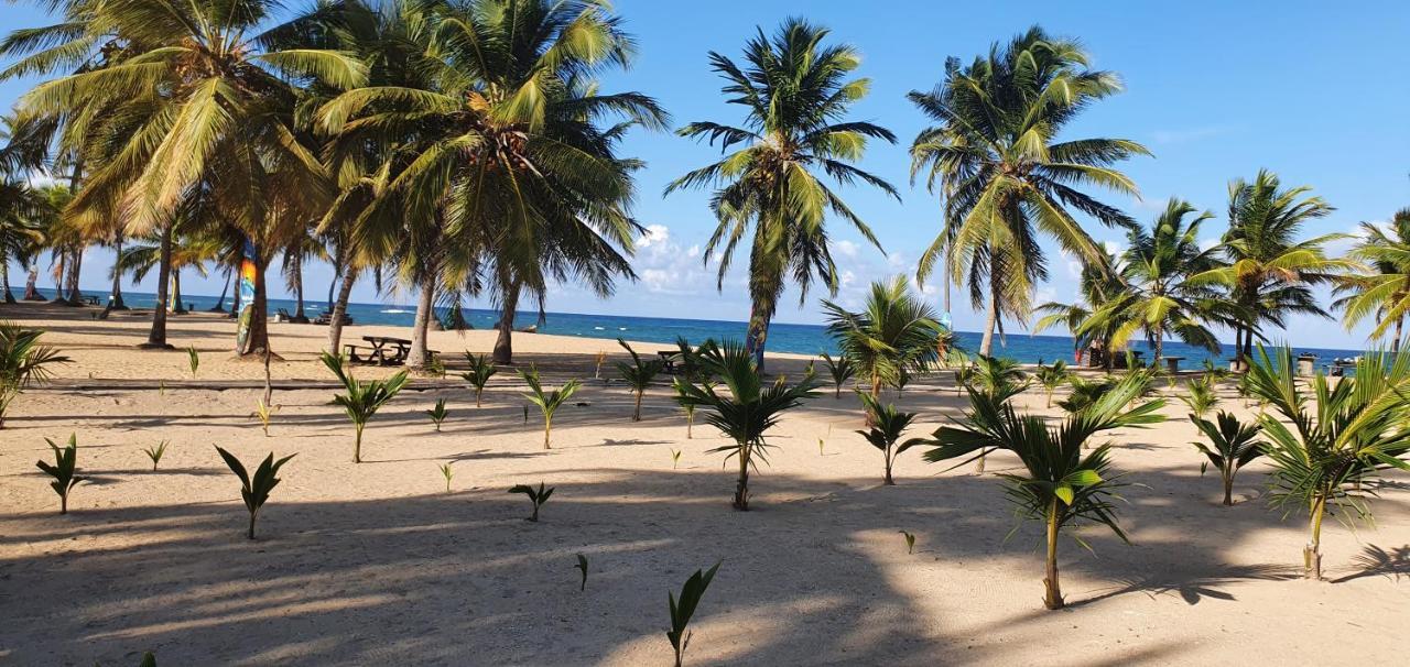 Puntacana Lavacama Costa Arrecife