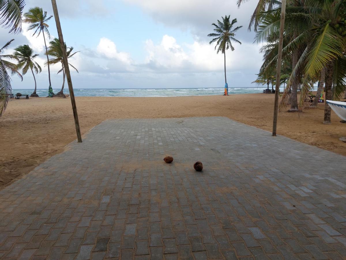 Puntacana Lavacama Costa Arrecife Punta Cana