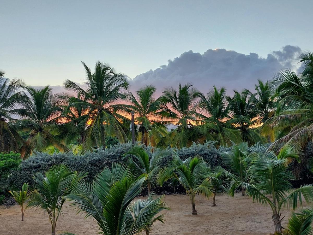 Puntacana Lavacama Costa Arrecife Punta Cana