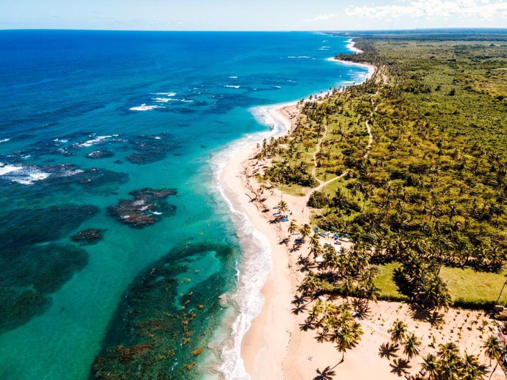 Puntacana Lavacama Costa Arrecife