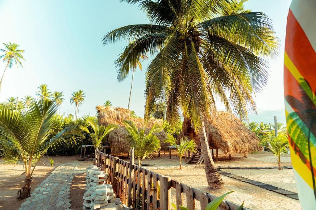 Puntacana Lavacama Costa Arrecife Punta Cana