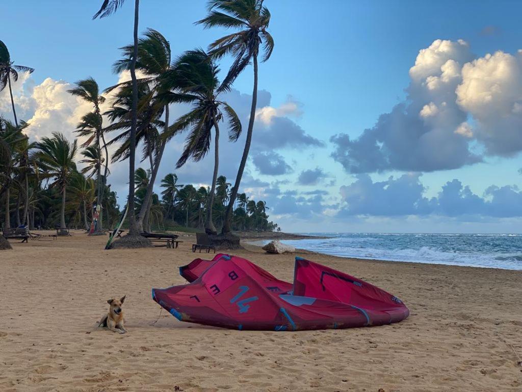Puntacana Lavacama Costa Arrecife * Punta Cana
