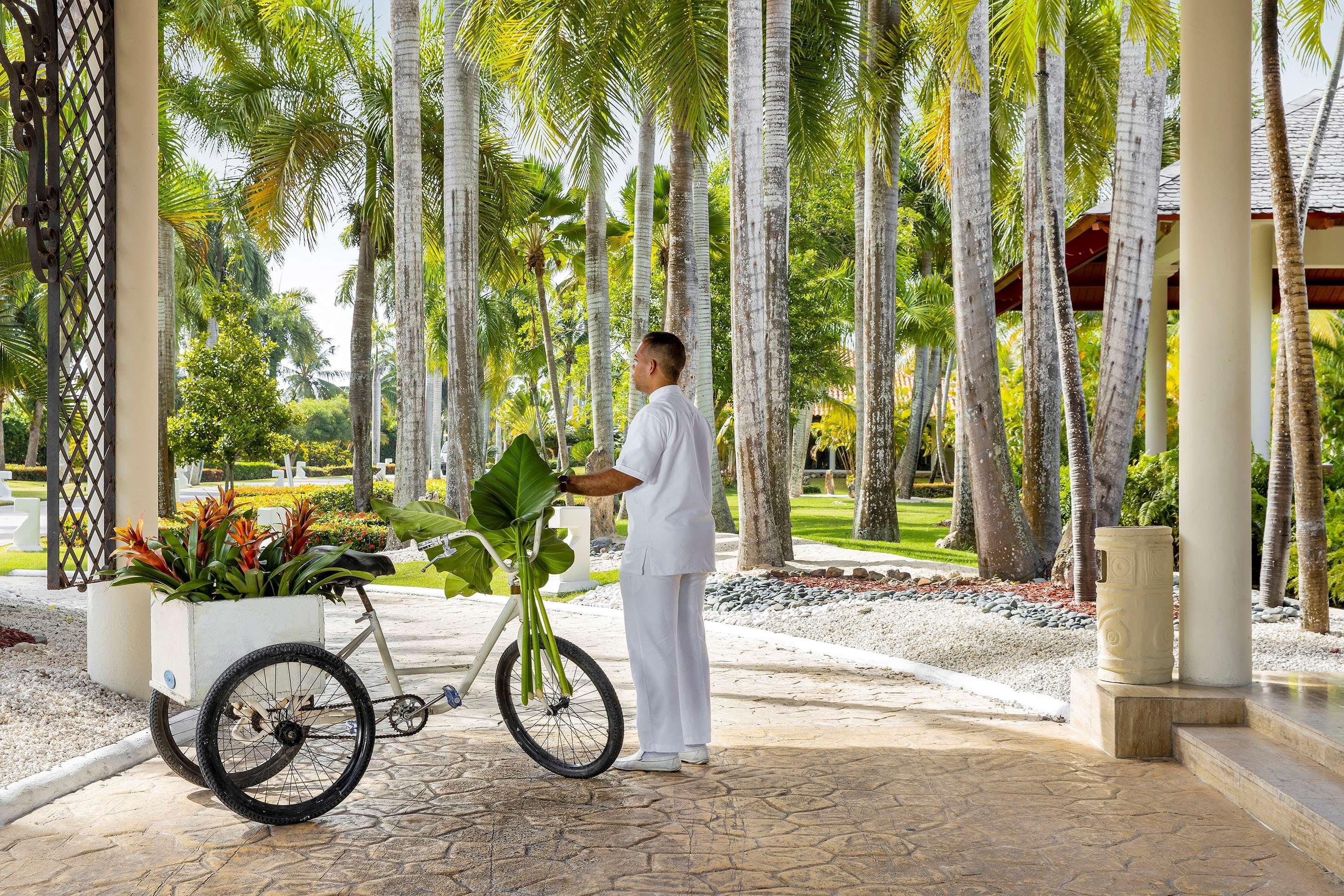 Paradisus (adults Only) 4*