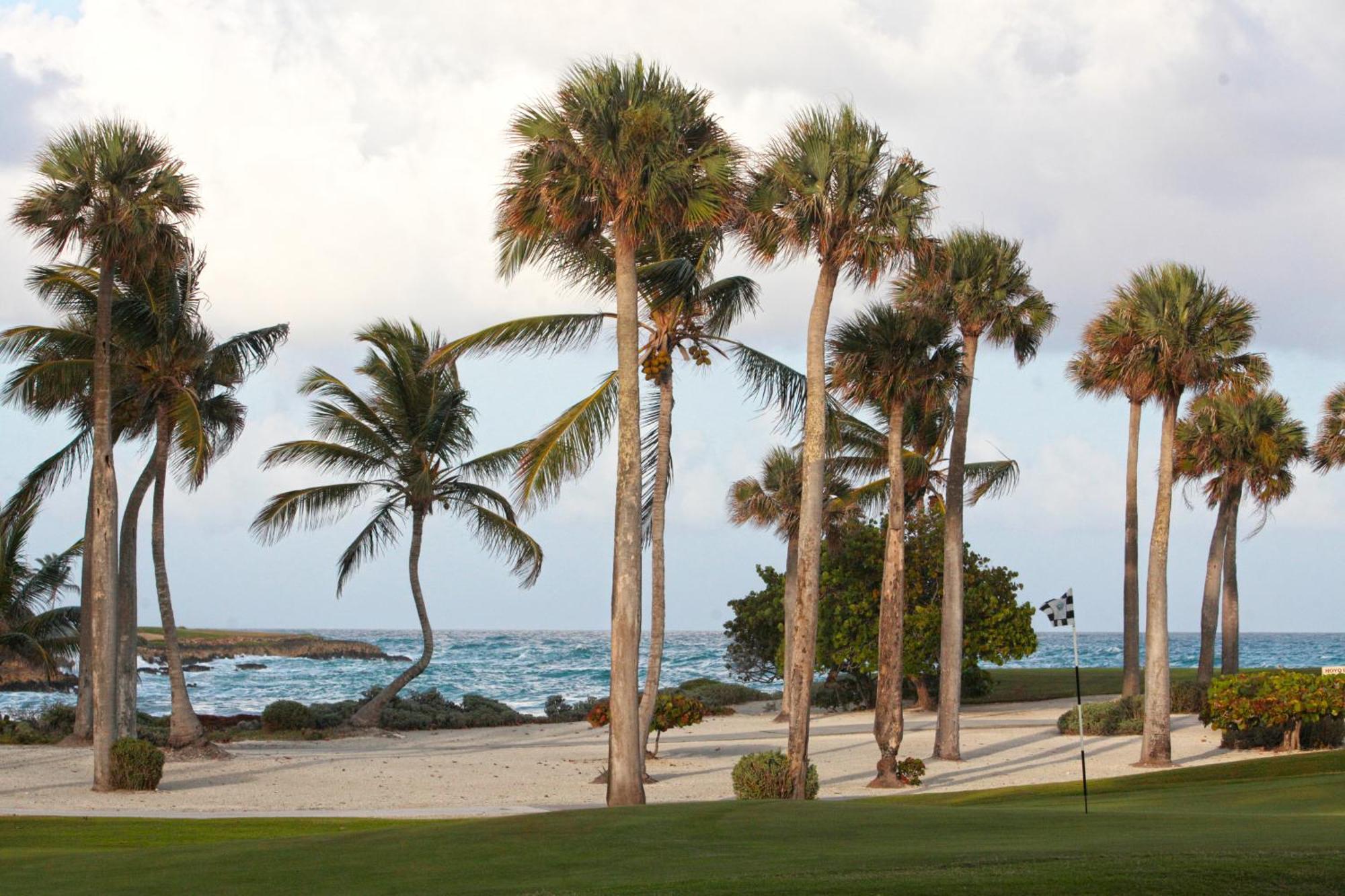 Cap Cana For Rent - Luxury Illa With Access To Eden Roc Villa