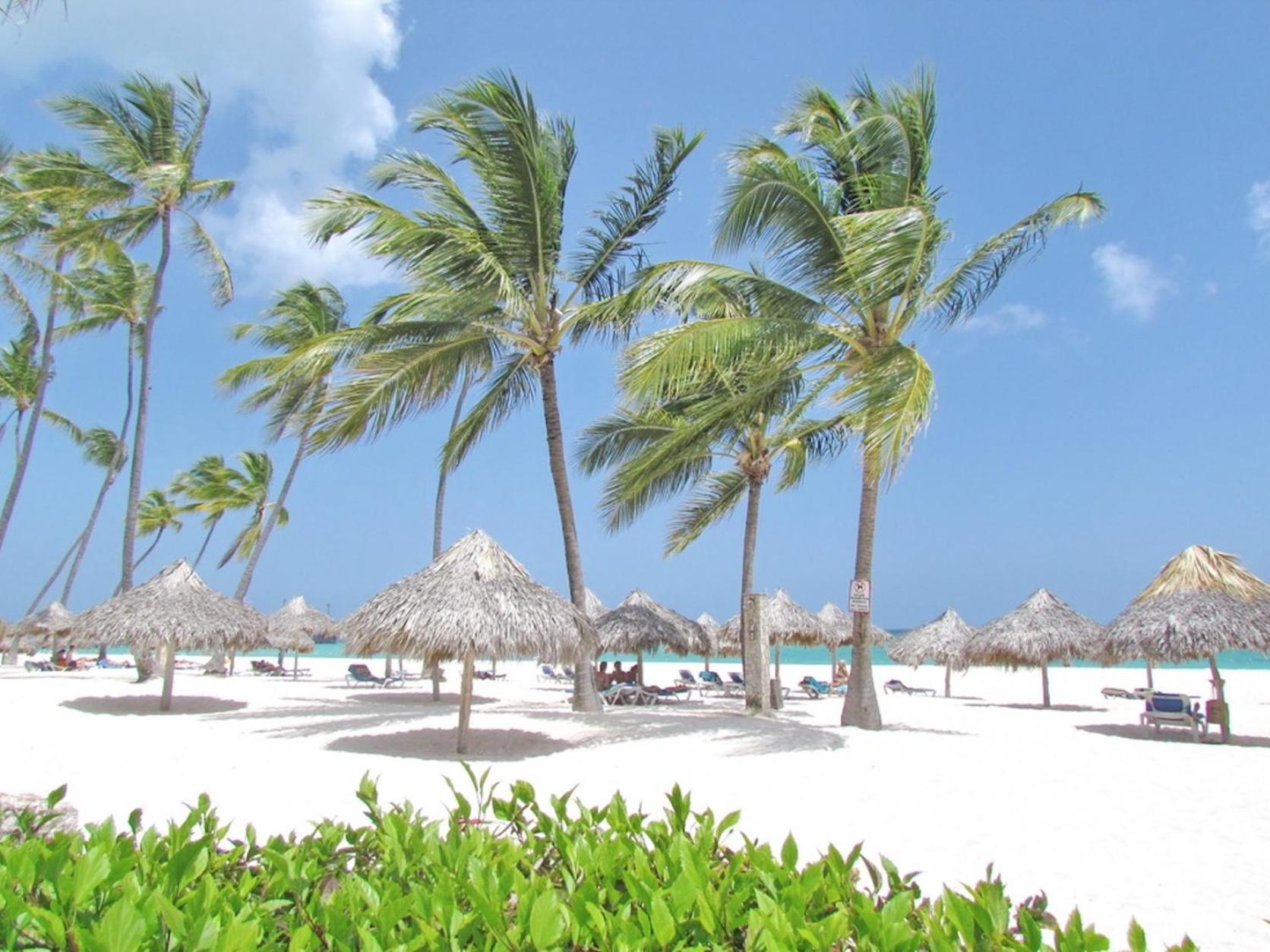 Caribbean Dеluxe With Rоoftop Pool And Access Apartment