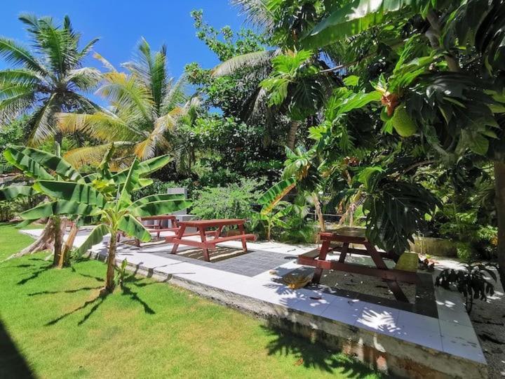 Coral Deluxe With Pool View Playa Corales