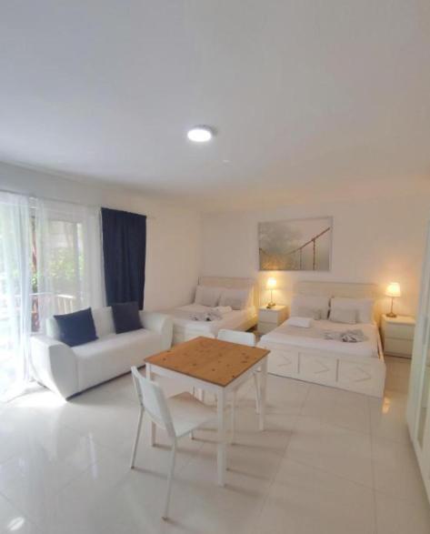 Coral Deluxe With Pool View Playa Corales
