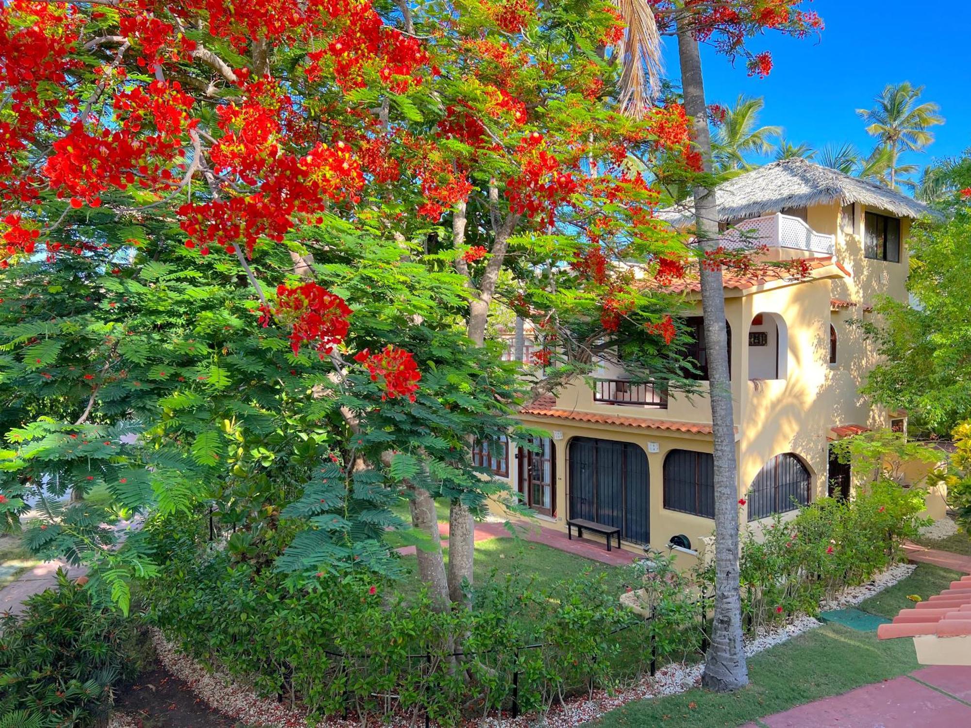 Hotel Serenara Village Playa Corales 5*