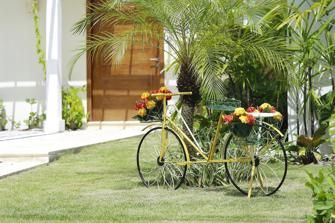 Villa Olivo 9 Village *