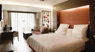 Hotel Premium Level At Barcelo Bavaro Palace 5*