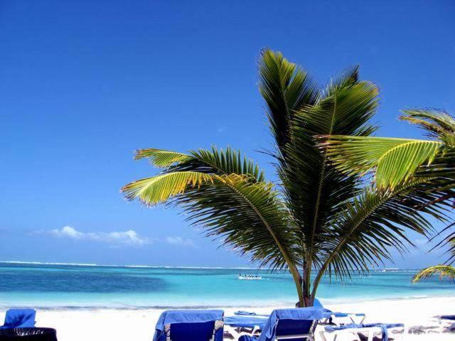 Acomodação com café da manhã  Larimar Beach *