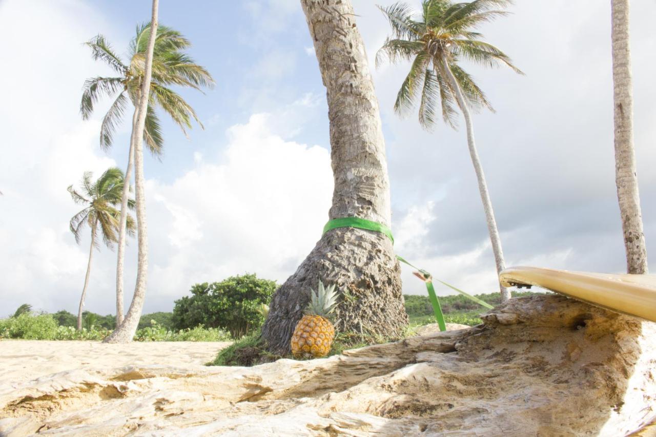 Macao Beach Albergue