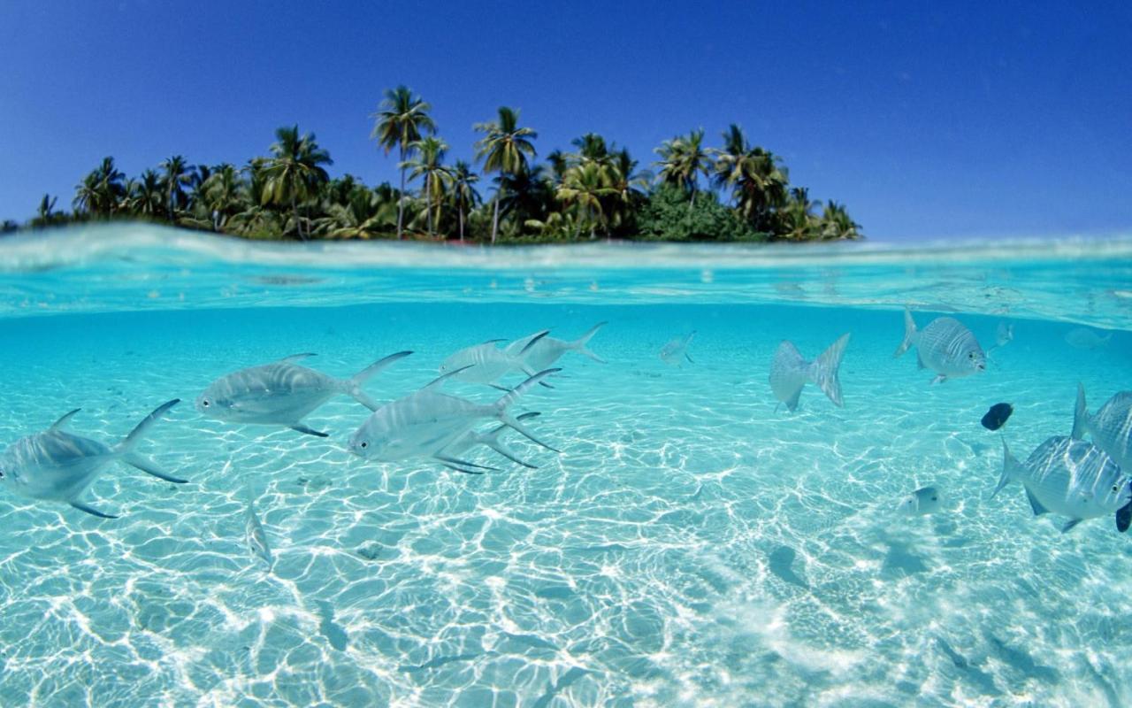 Apartamento Best Ocean View - Private Paradise *
