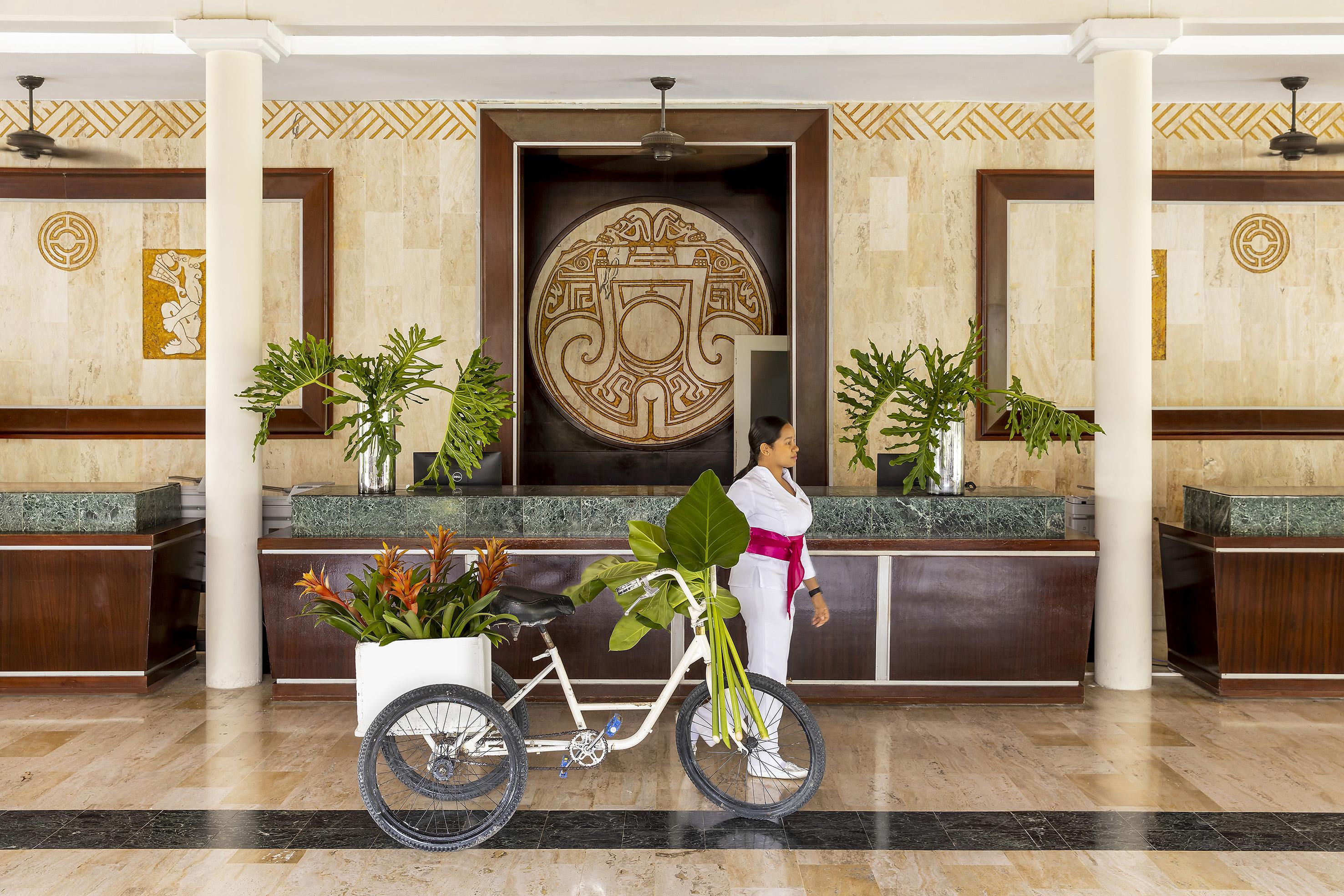 Paradisus 4*