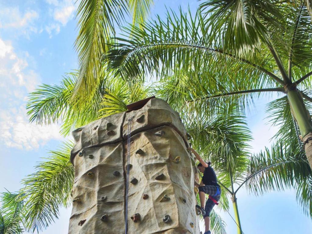 Paradisus Hotel 4*