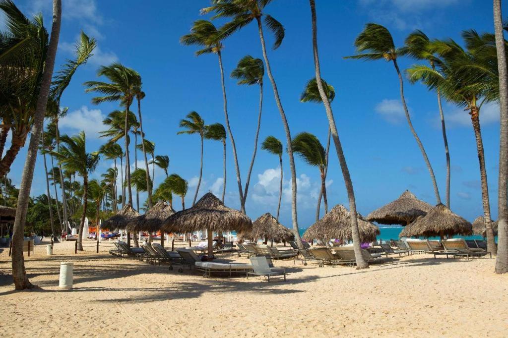Paradisus