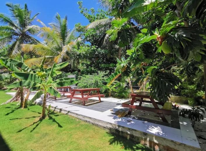 Caribbean Dream With Pool Playa Corales Apartahotel
