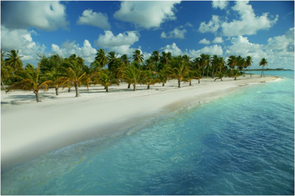 The At Cap Cana By Alsol Punta Cana