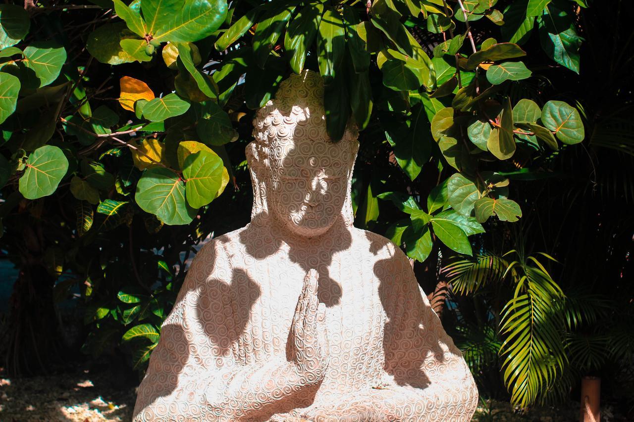 Secret Paradise 1 Near To The Beach * Punta Cana