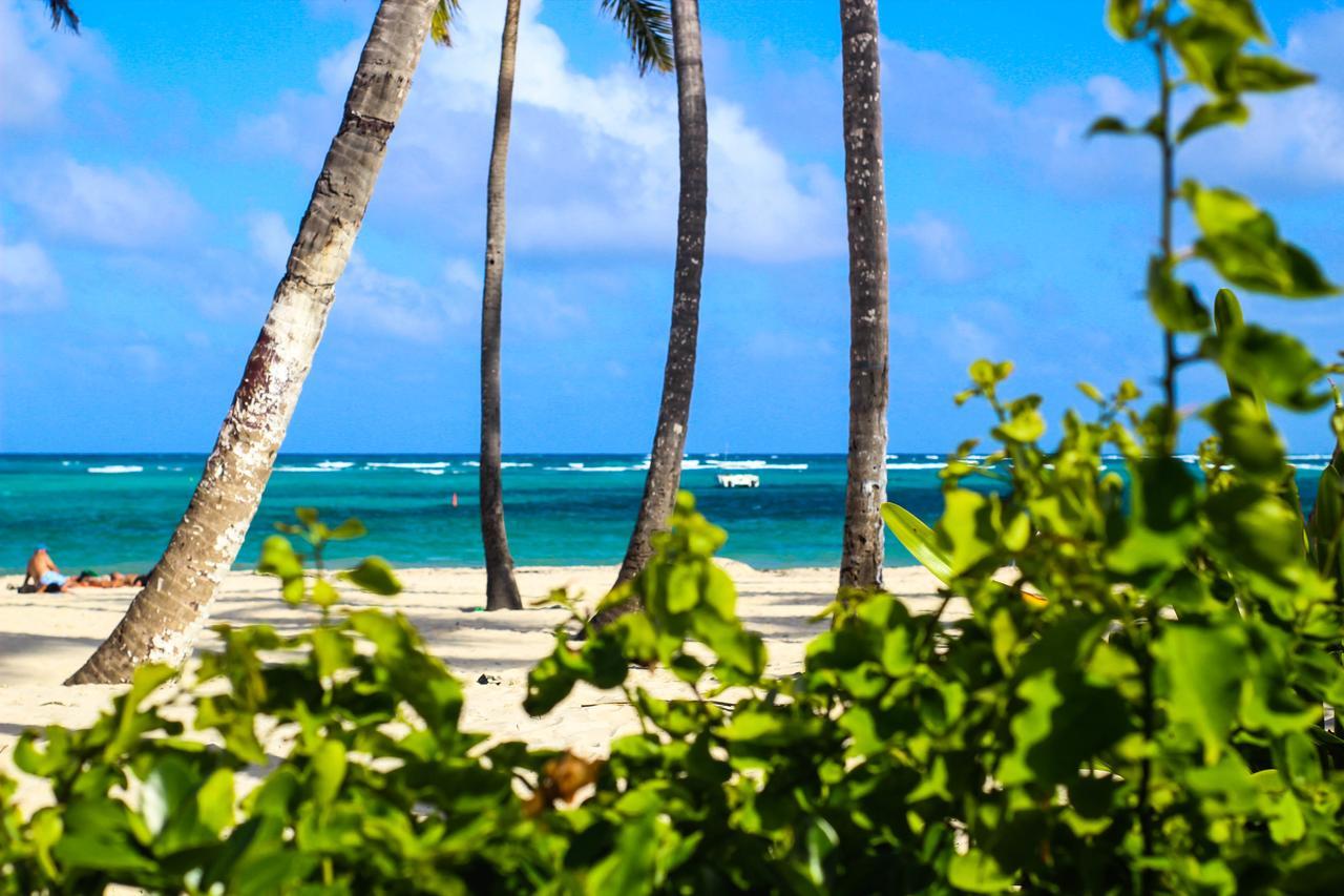 Secret Paradise 1 Near To The Beach Villa Punta Cana