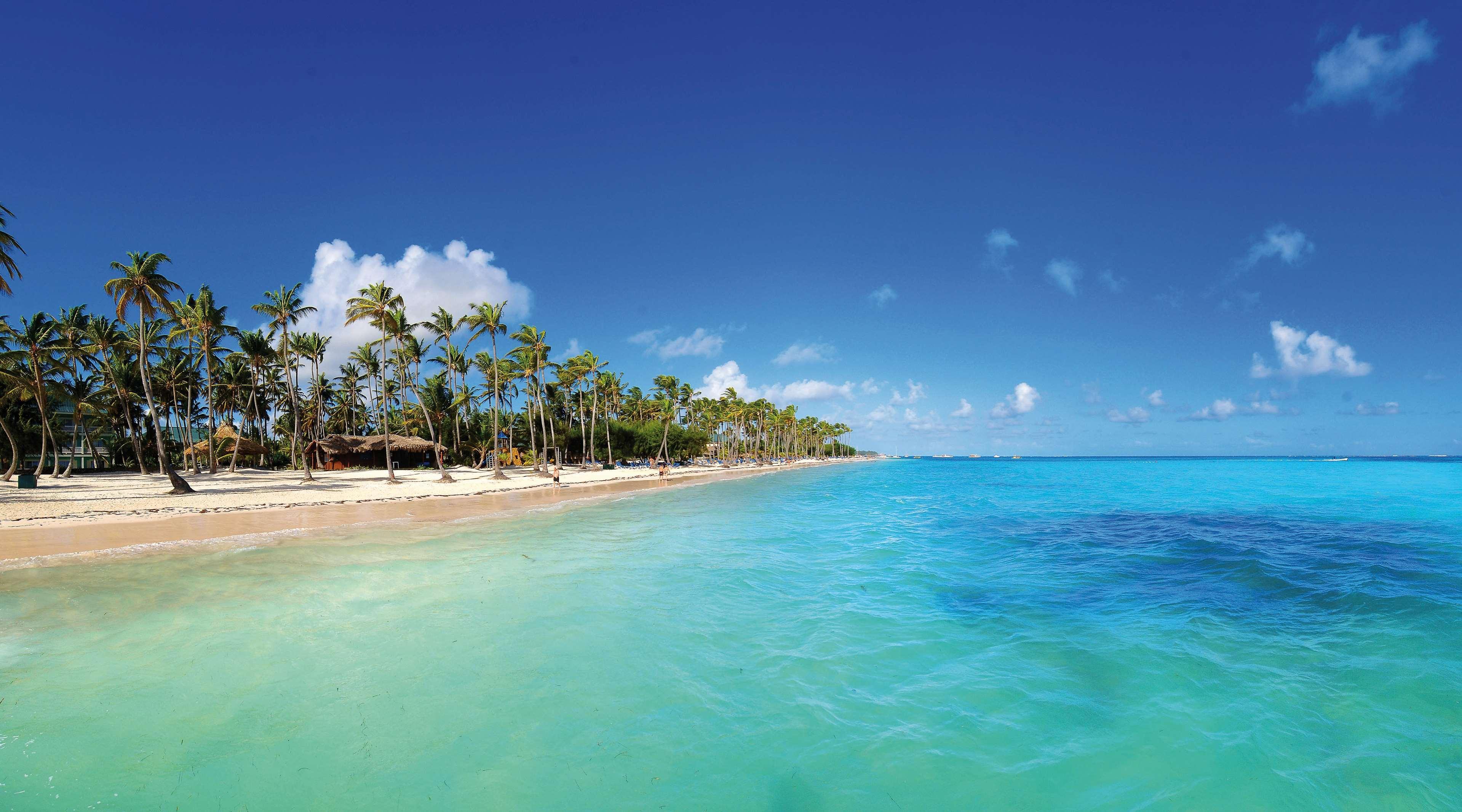 Resort Barcelo Bavaro (adults Only) 5*