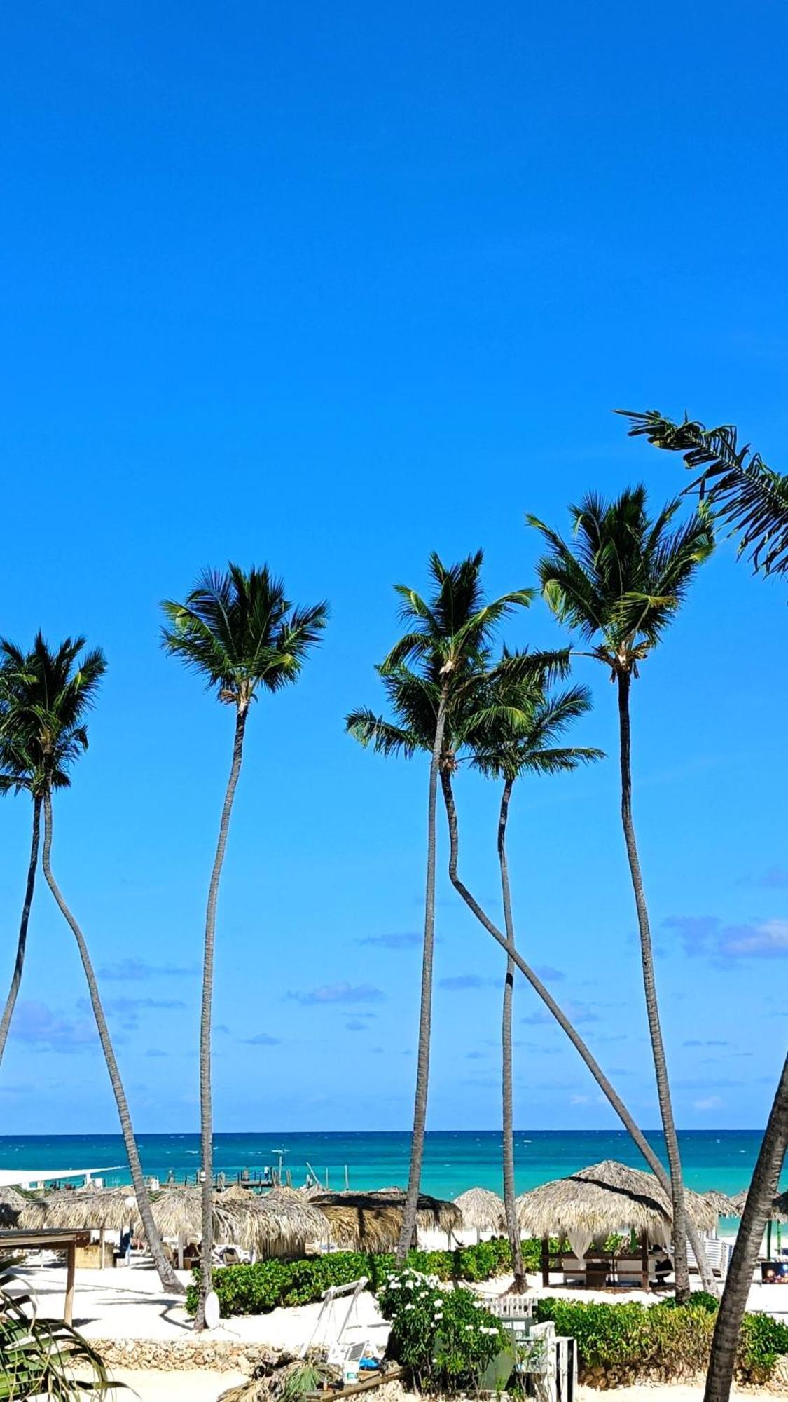 Flor Del Mar Beachfront 3* Punta Cana
