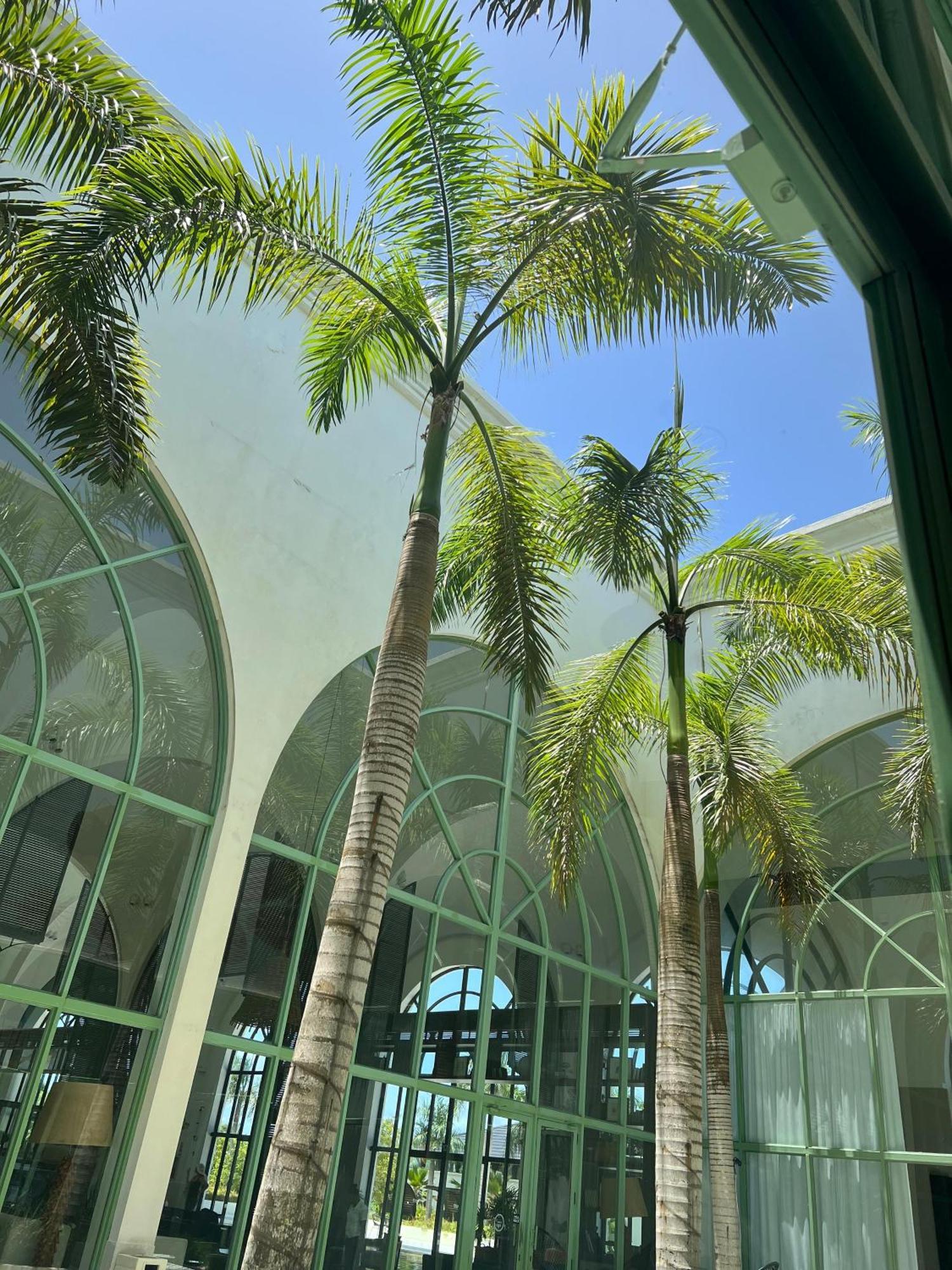 Ocean El Faro (adults Only) Punta Cana