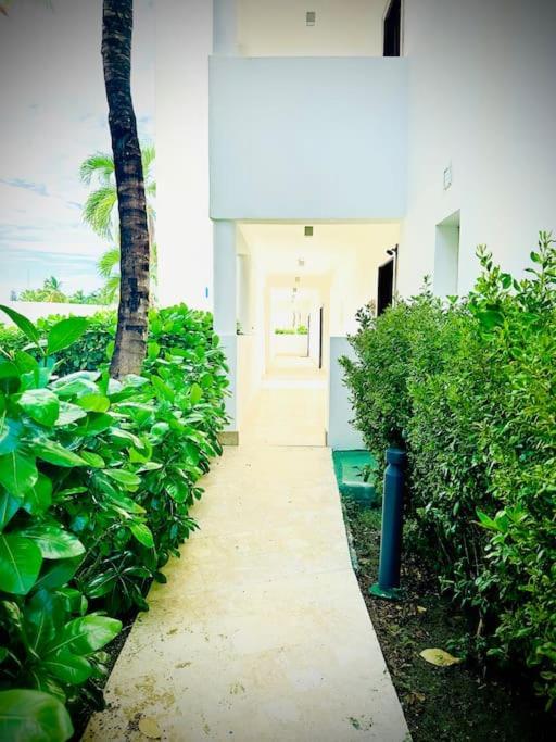 Vacation Ocean Front * Punta Cana