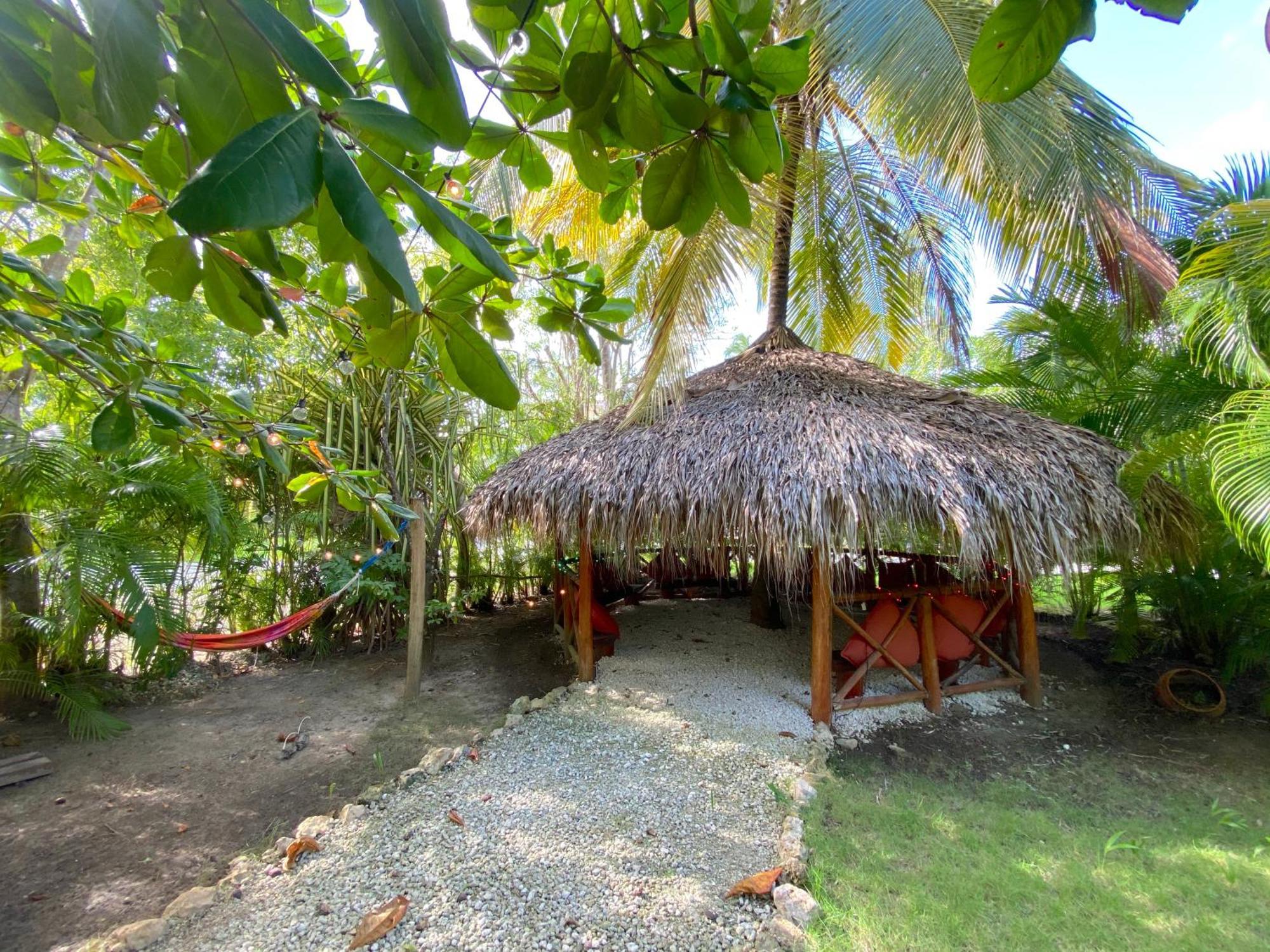 Serenity And - Playa Corales 5*