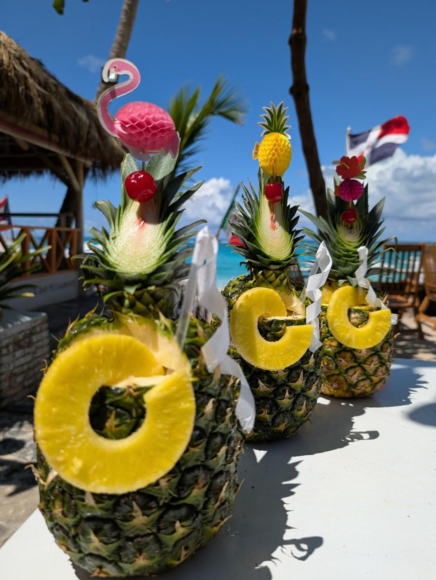Dios Es Fiel - Ali Bed & Breakfast