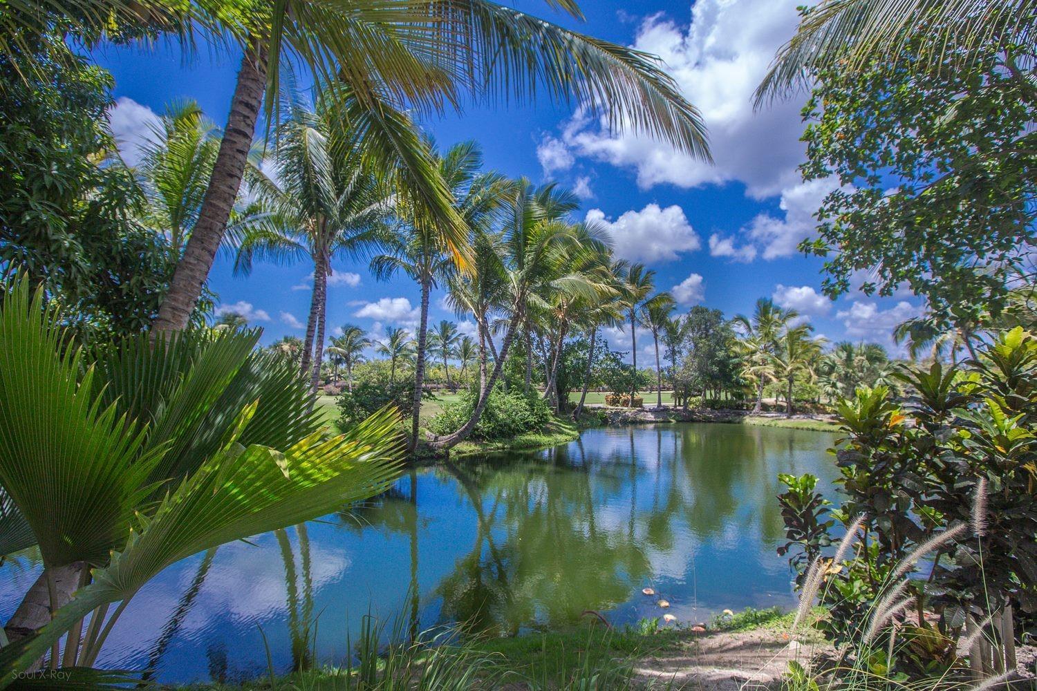 Private & Luxury Cocotal In Gated & Secured Community Punta Cana