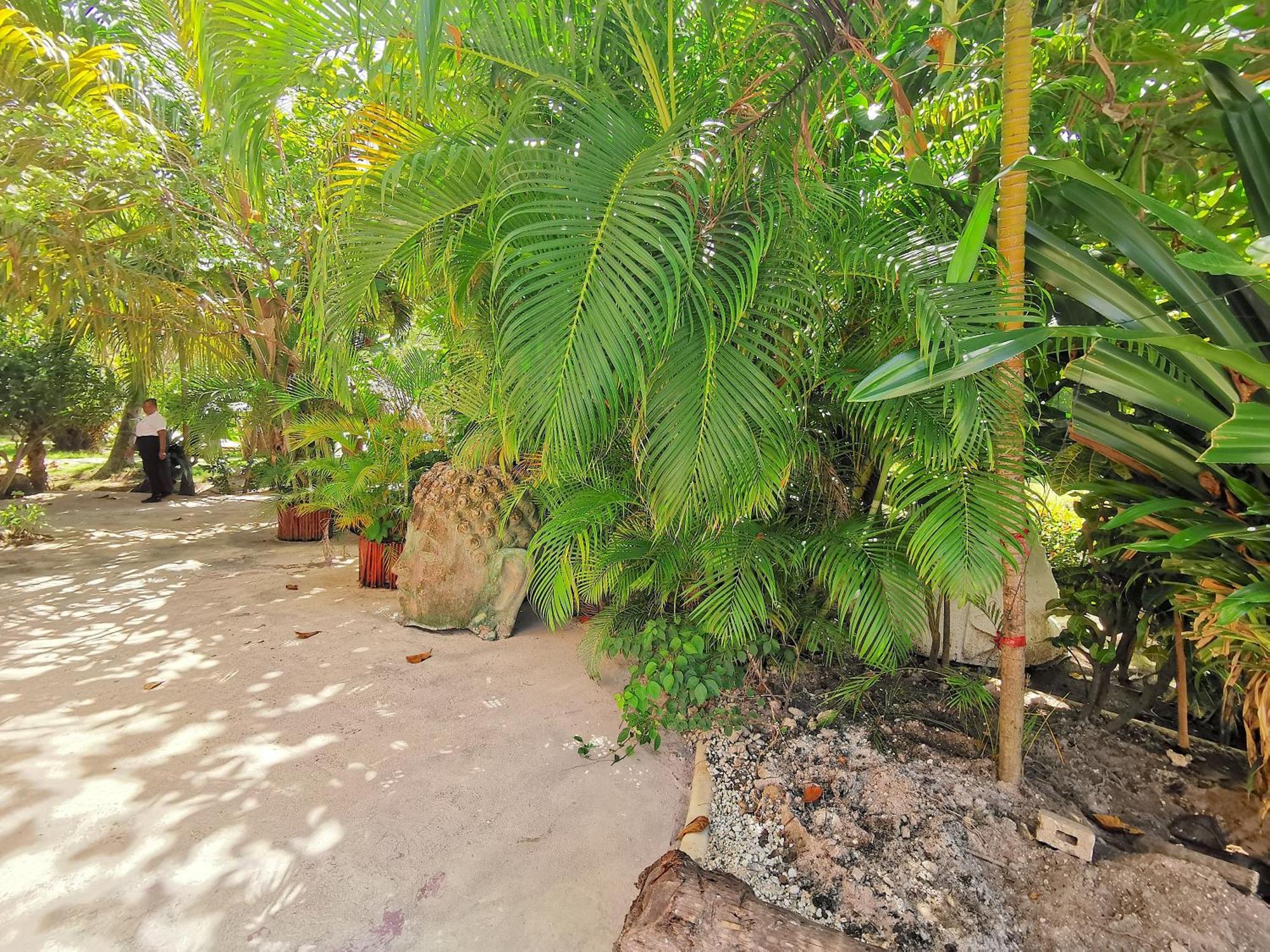 & Long Term Vacation Bavaro Club &