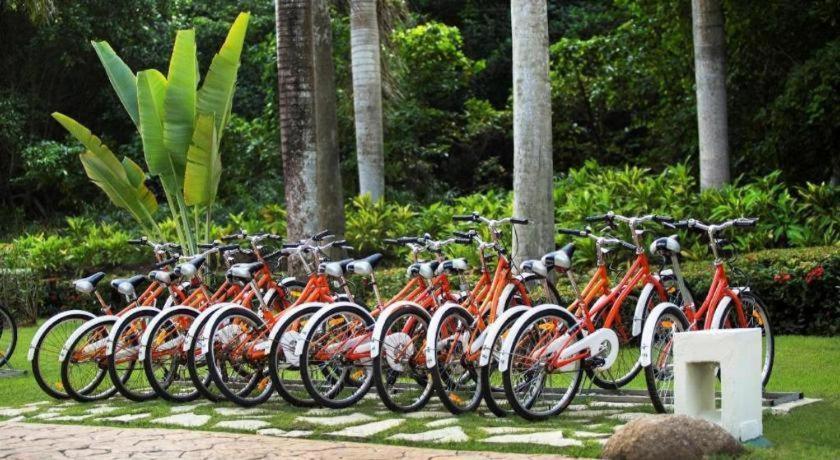 Hotel Paradisus (adults Only)
