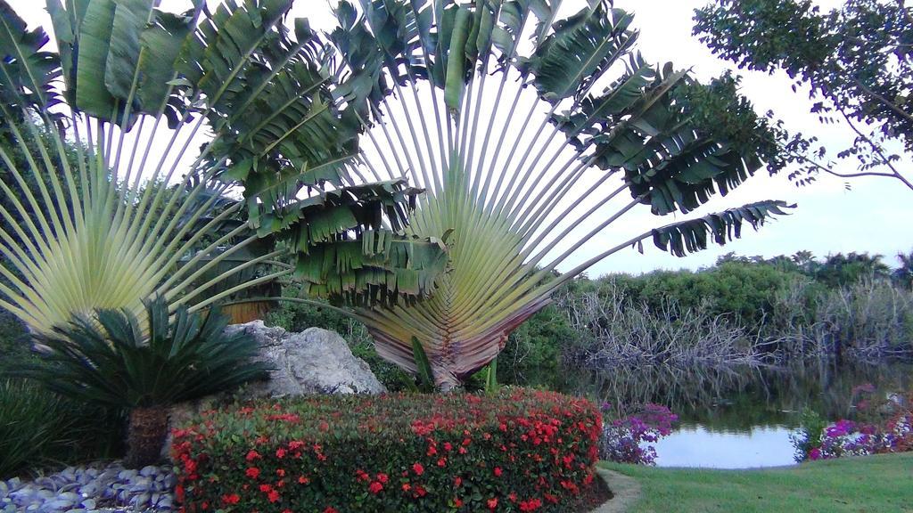 Hotel Suites At Melia Caribe Beach And Punta Cana