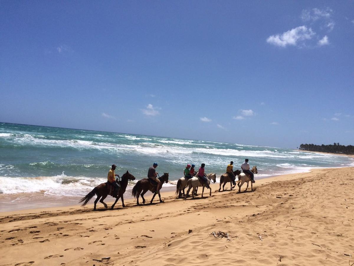 Best Ocean View - Private Paradise Punta Cana