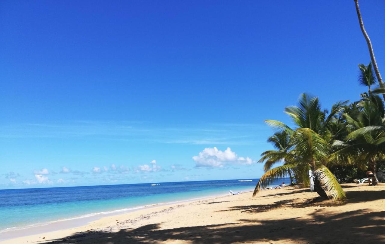 Leonardo En Costa Bavaro