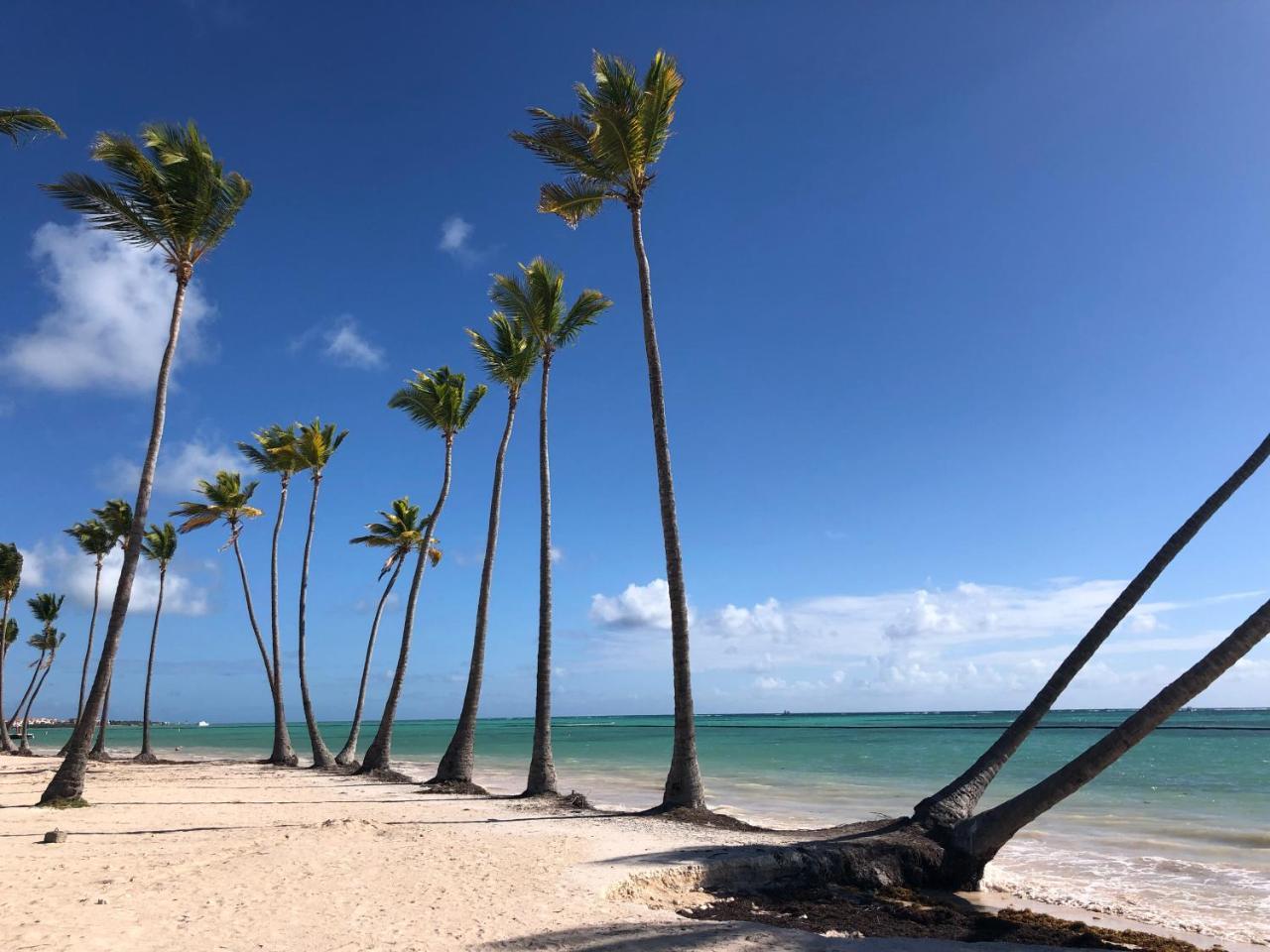 Aquamarina Cap Cana Ocean Front Apartment