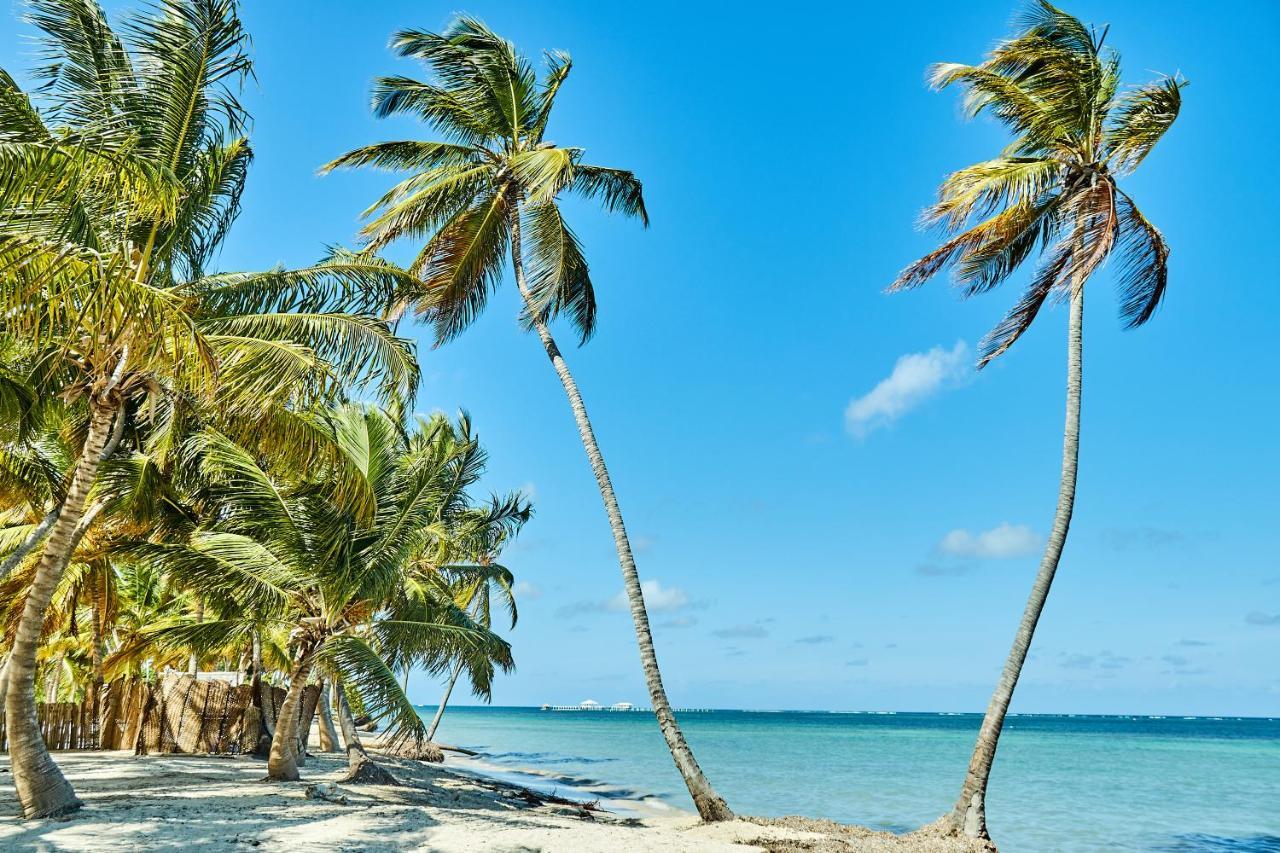 Flor Del Mar Beachfront Punta Cana