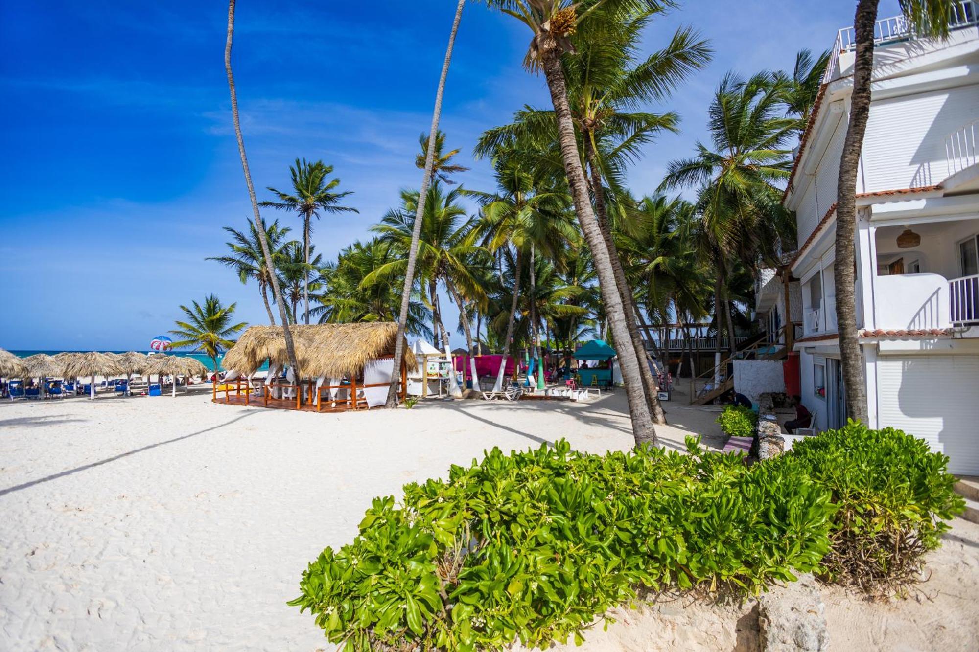 Amazing Penthouse In With Ocean View Apartment Punta Cana